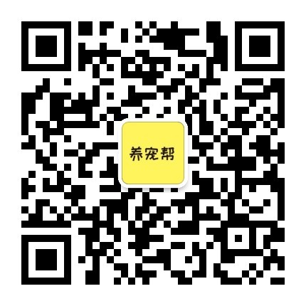 养宠帮公众号二维码